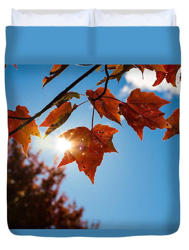 Leaves Duvet Cover featuring the photograph Autumn in the Upper Peninsula by Lee and Michael Beek
