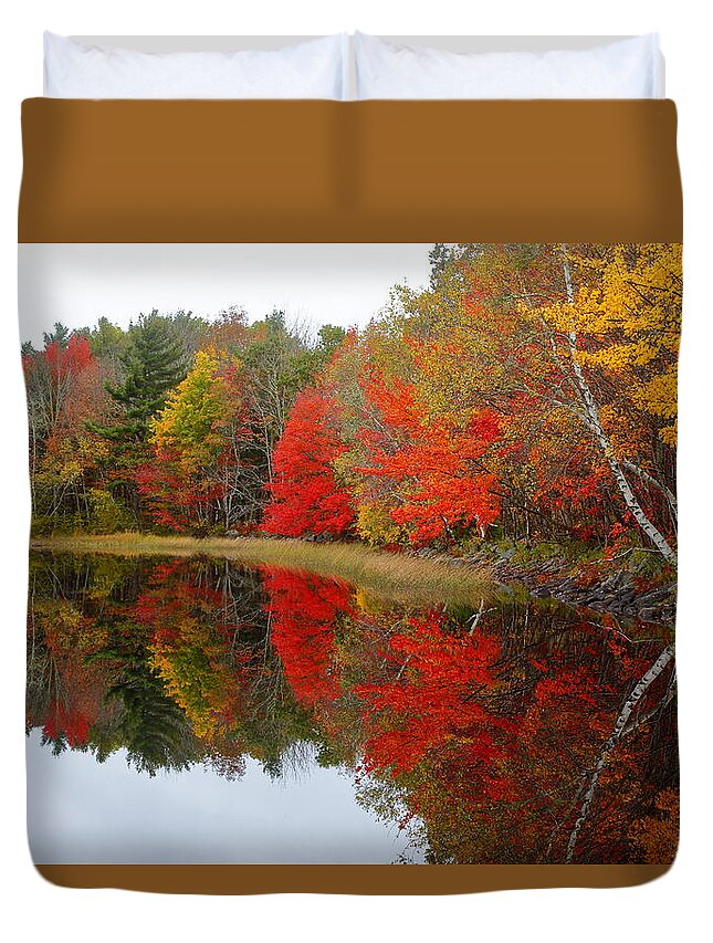 Canada Duvet Cover featuring the photograph Autumn Lake, Nova Scotia by Gary Corbett