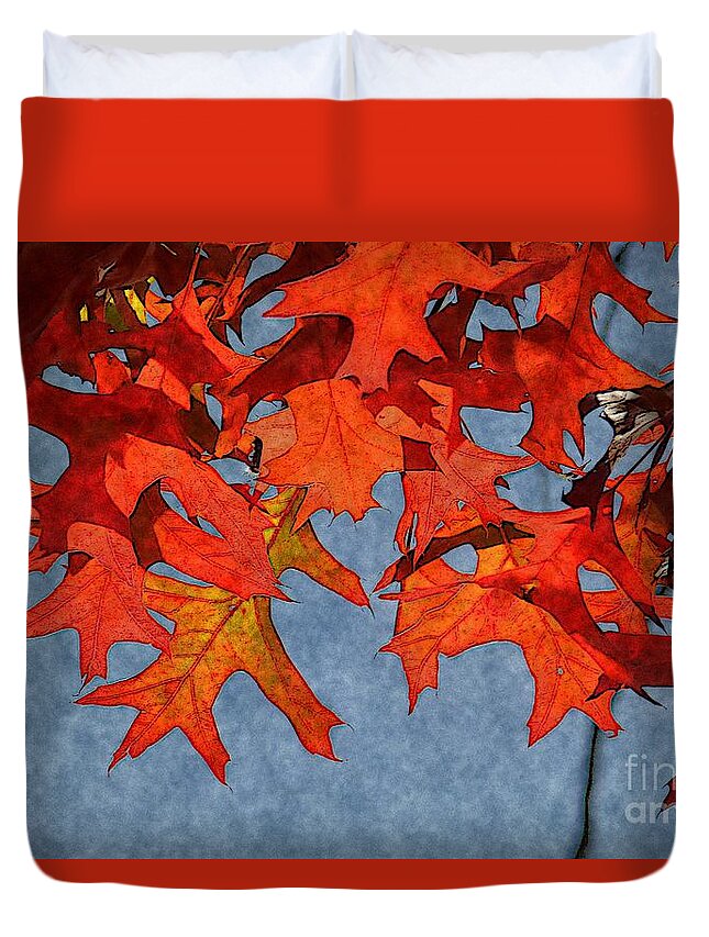 Autumn Duvet Cover featuring the photograph Autumn Leaves 19 by Jean Bernard Roussilhe