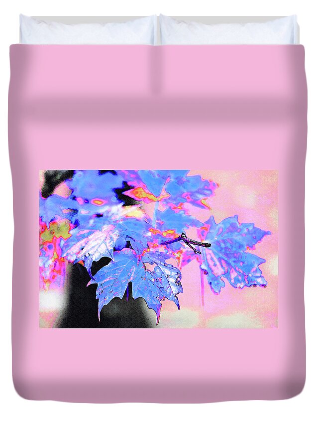 New England Duvet Cover featuring the photograph Autumn Leaves in Blue by Betty LaRue
