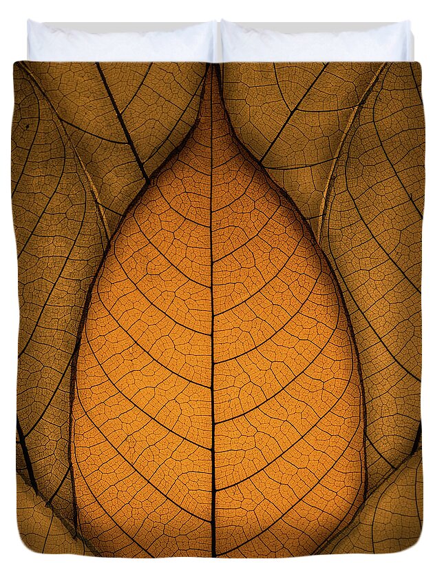 Autumn Duvet Cover featuring the photograph Autumn Leaves by Paul Wear