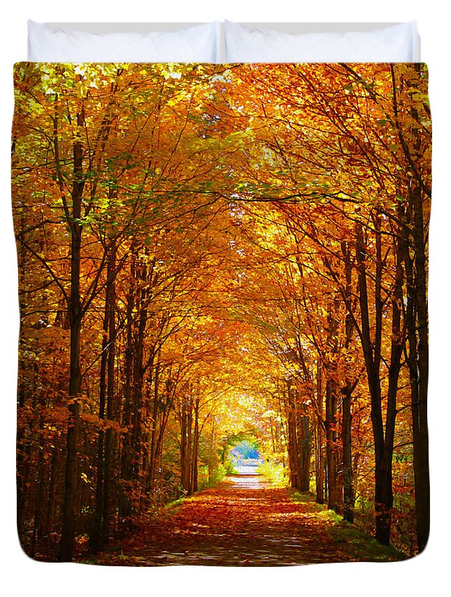 Autumn Duvet Cover featuring the photograph Autumn Light and Leaf Painting by Nina Silver