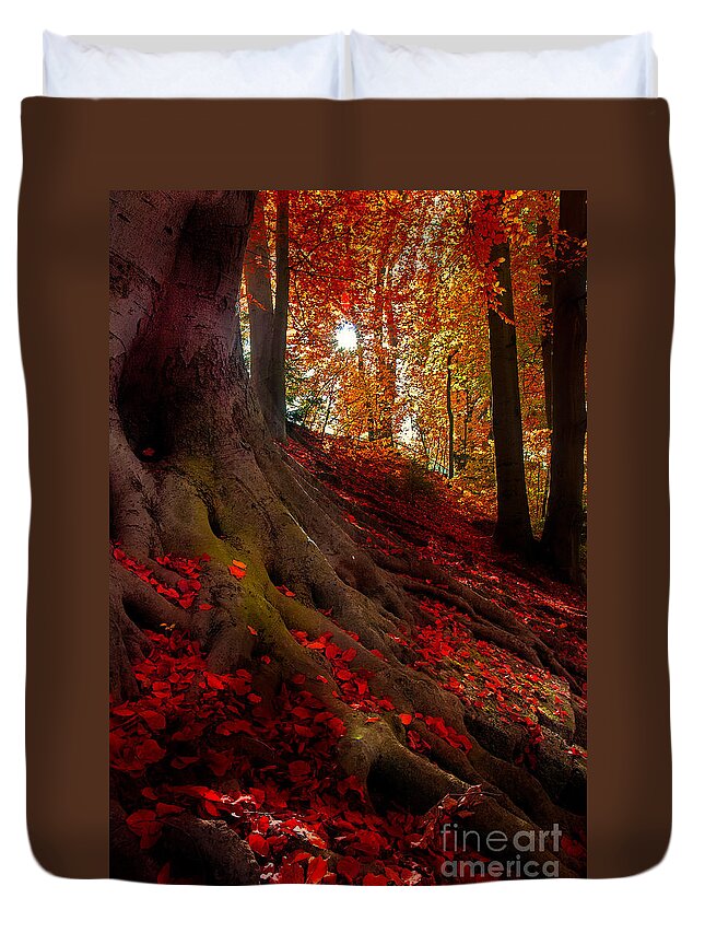 Autumn Duvet Cover featuring the photograph Autumn Light by Hannes Cmarits