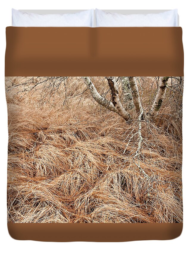 Autumn Duvet Cover featuring the photograph Autumn Meadow Details #2 by Irwin Barrett