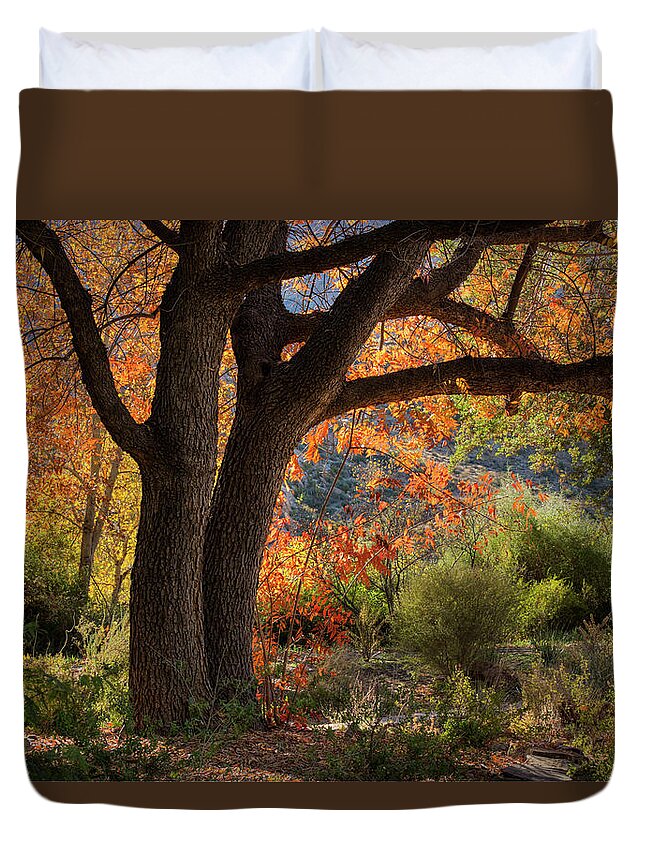 Autumn Duvet Cover featuring the photograph Autumn Memories by Sue Cullumber