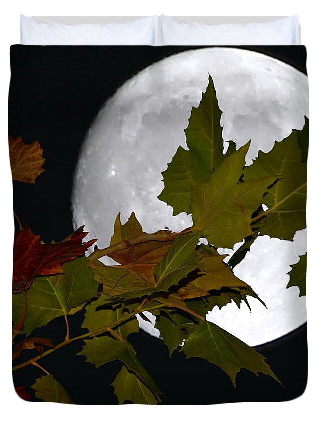 Autumn Moon Duvet Cover featuring the photograph Autumn Moon by Patrick Witz