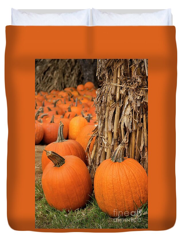 Pumpkin Duvet Cover featuring the photograph Autumn Pumpkins by Jill Lang