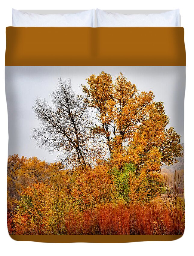 Autumn Duvet Cover featuring the photograph Autumn Rain in Chimayo by Robert Meyers-Lussier
