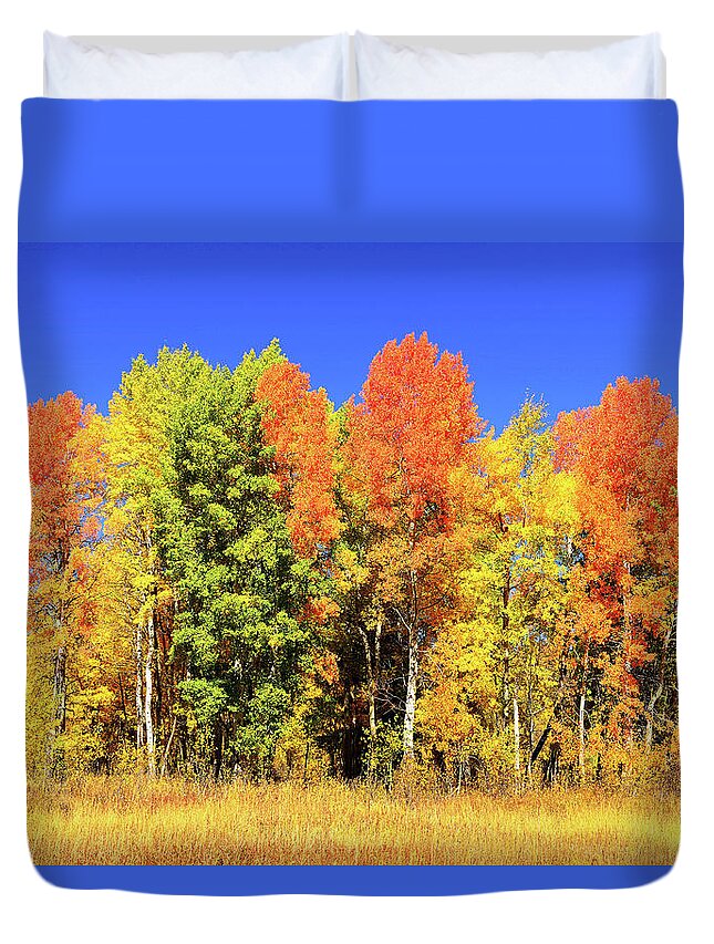 Autumn Duvet Cover featuring the photograph Autumn Rainbow by Greg Norrell