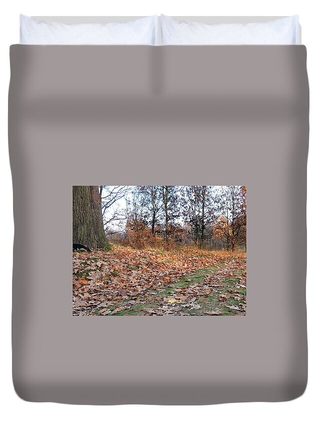 Autumn Duvet Cover featuring the photograph Autumn road by Lukasz Ryszka