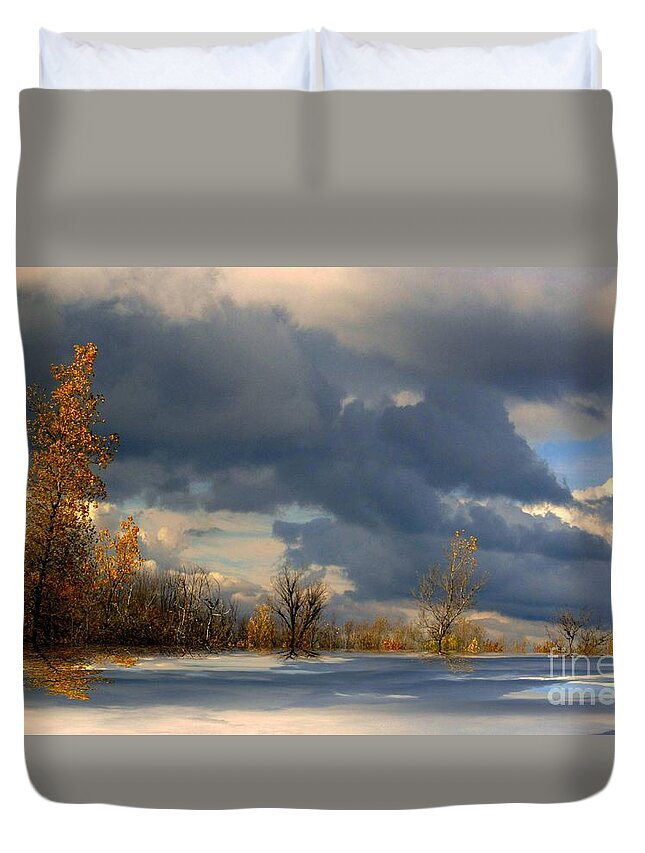 Trees Duvet Cover featuring the photograph Autumn Skies by Elfriede Fulda