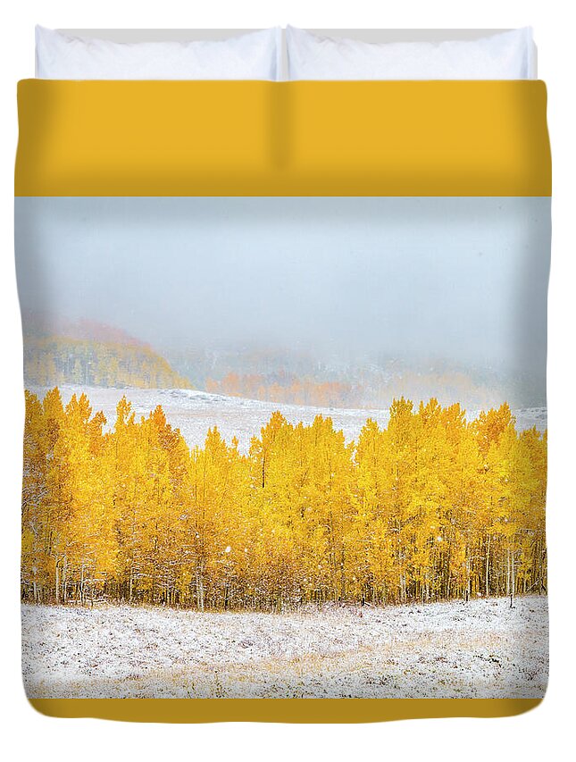 Aspen Trees Duvet Cover featuring the photograph Autumn Snowstorm by Teri Virbickis