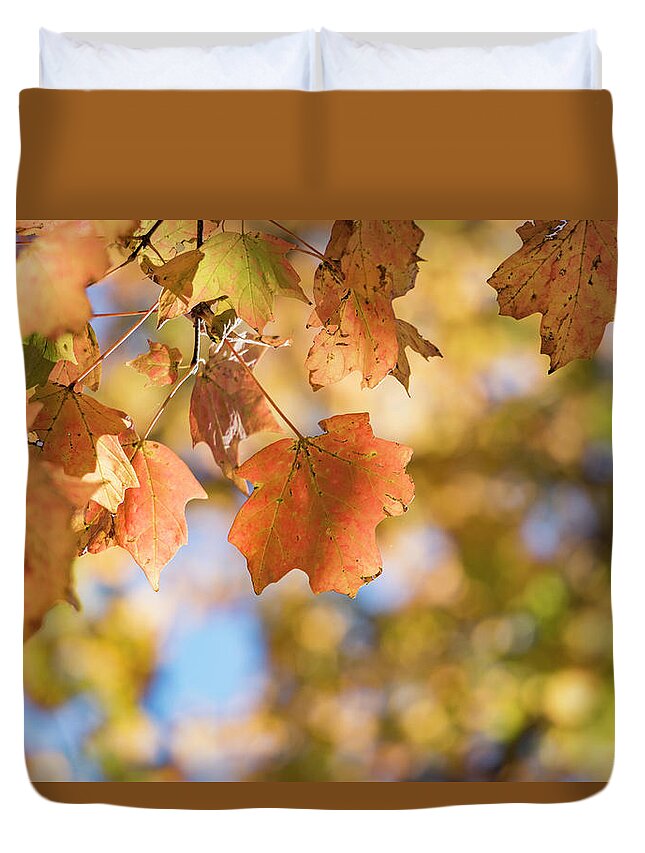 Autumn Duvet Cover featuring the photograph Autumn Splendor by Holly Ross