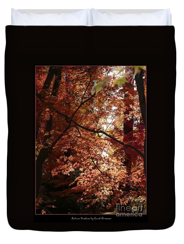 Spokane Duvet Cover featuring the photograph Autumn Sunshine Poster by Carol Groenen