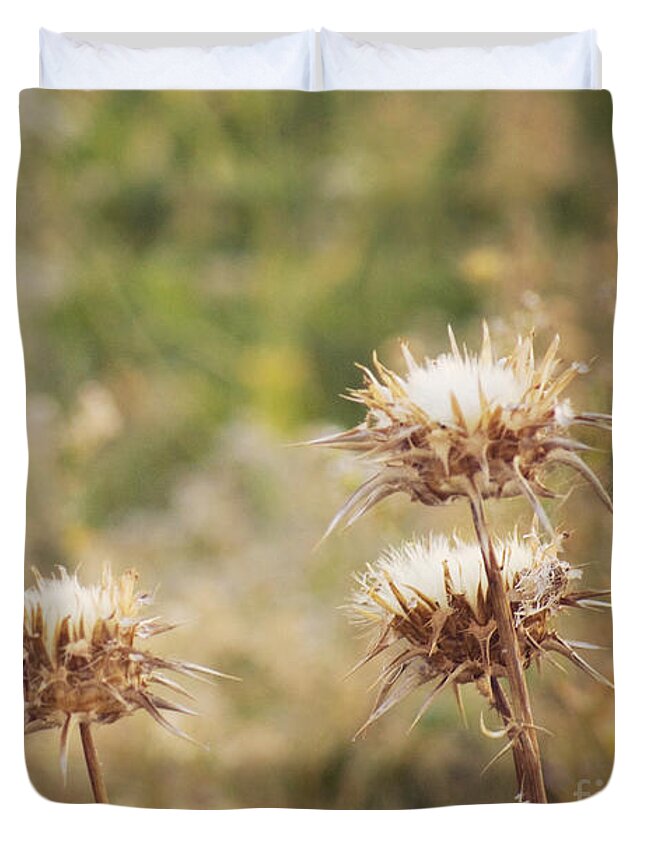 Thistle Duvet Cover featuring the photograph Autumn thistles by Cindy Garber Iverson