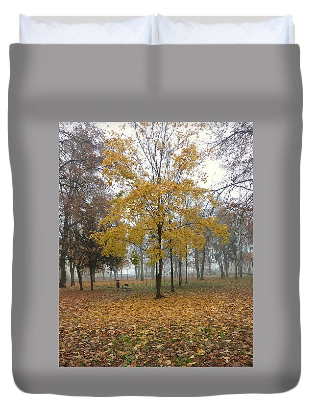 Autumn Duvet Cover featuring the photograph Autumn tree by Lukasz Ryszka