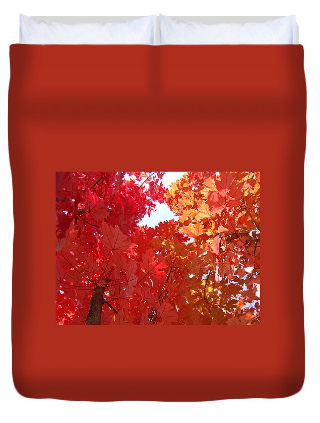 Autumn Duvet Cover featuring the photograph AUTUMN TREES Red Orange Fall Trees Art Baslee Troutman by Patti Baslee