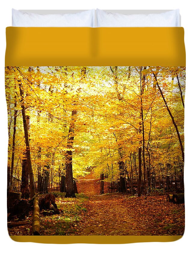 Fall Duvet Cover featuring the photograph Autumns Blaze by Steven Clipperton