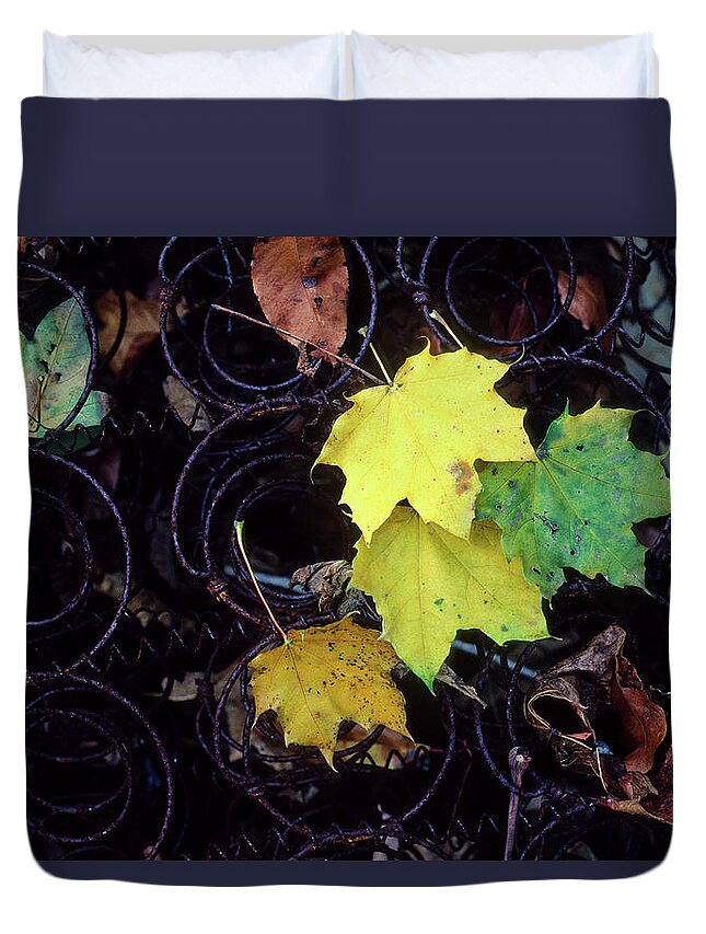 Rural Duvet Cover featuring the photograph Autumn's Spring Leaves, Horizontal by James Oppenheim