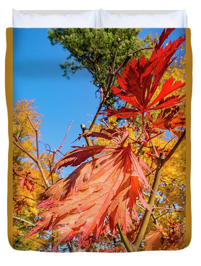 Autumn Color Duvet Cover featuring the photograph Autunm Beauty by Albert Seger