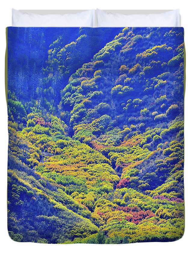 Colorado Duvet Cover featuring the photograph Avalanche of Fall Color in Glenwood Springs by Ray Mathis