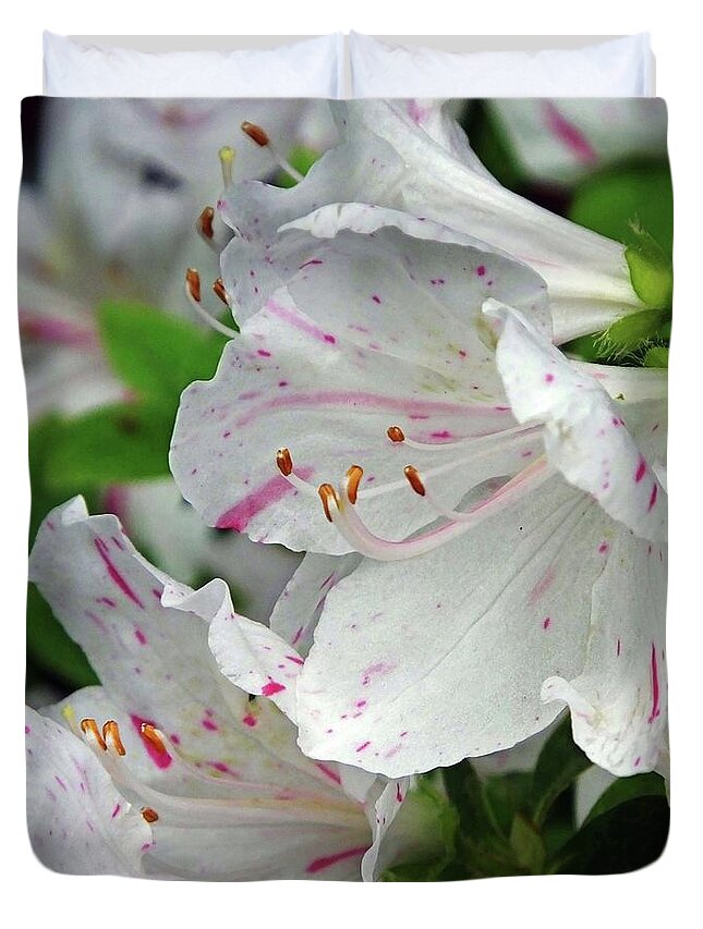 Flower Duvet Cover featuring the photograph Azalea by Lizi Beard-Ward