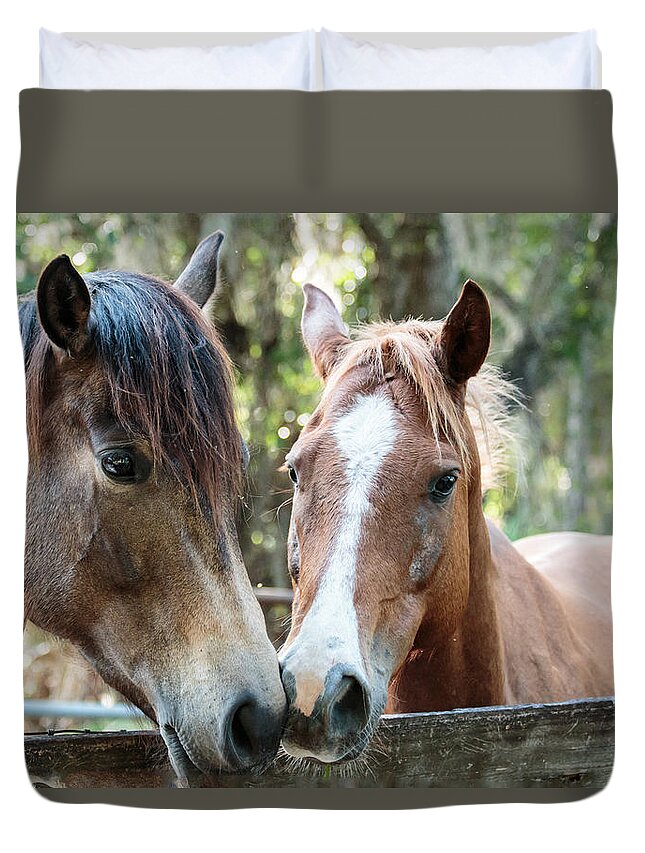 Florida Duvet Cover featuring the photograph Babcock Wilderness Ranch - Horse Friends Forever by Ronald Reid