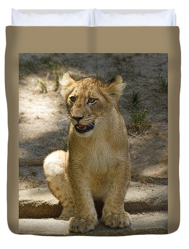 Asia Duvet Cover featuring the photograph Baby Baby by Cheri McEachin