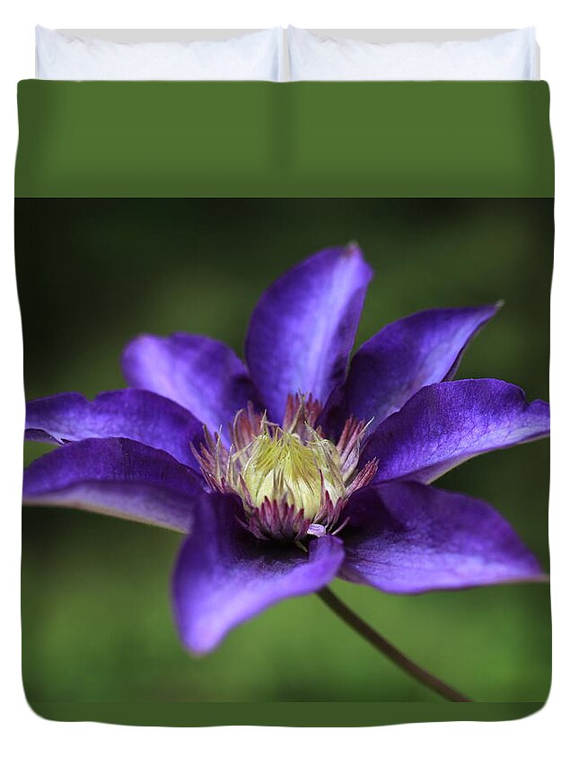 Abundant Duvet Cover featuring the photograph Baby Bloom Clematis by Tammy Pool