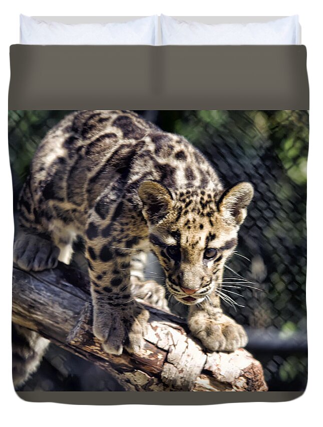 Brad Granger Duvet Cover featuring the photograph Baby Clouded Leopard by Brad Granger