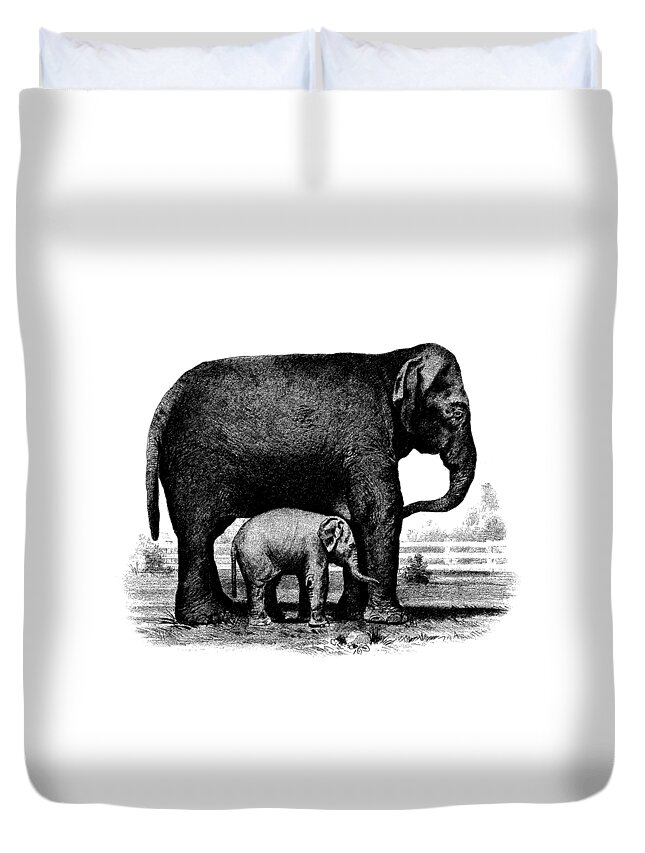 Elephant Duvet Cover featuring the drawing Baby Elephant T-shirt by Edward Fielding