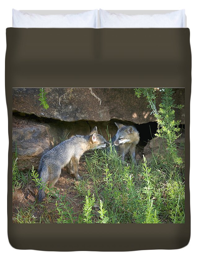 Baby Gray Fox Duvet Cover featuring the photograph Baby Gray Fox Nuzzling by Michael Dougherty