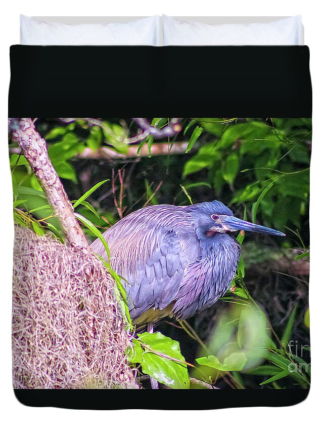 Nature Duvet Cover featuring the photograph Baby Great Blue Heron - Ardea Herodias by DB Hayes