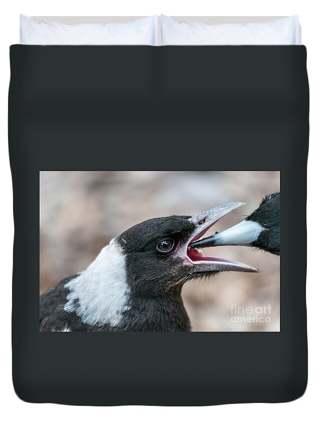 Magpie Duvet Cover featuring the photograph Baby Magpie 2 by Werner Padarin