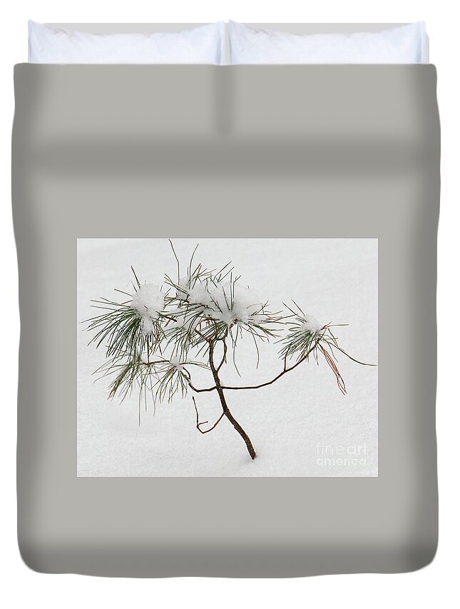 Pine Duvet Cover featuring the photograph Baby Pine by Mim White