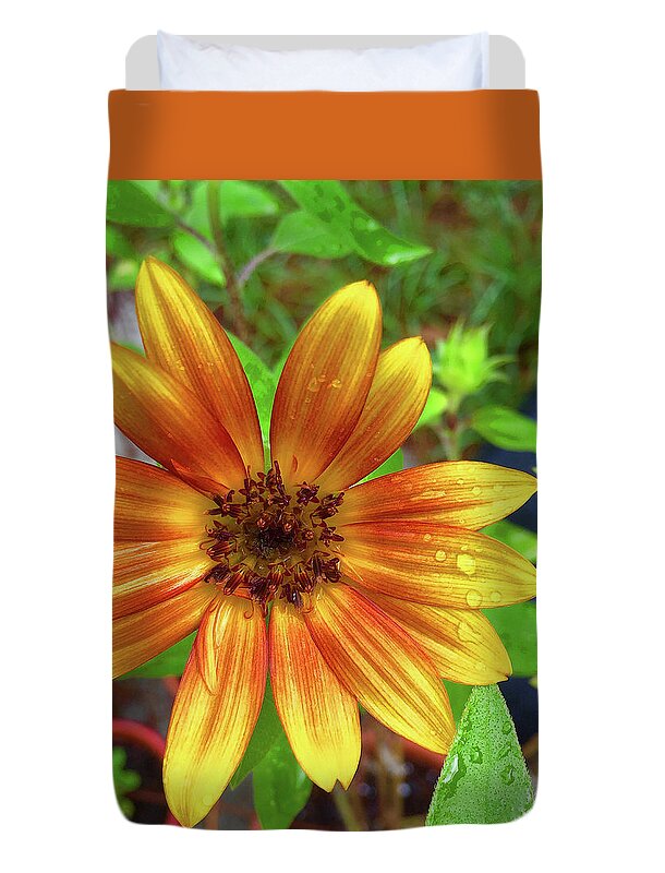 Sunflower Duvet Cover featuring the photograph Baby Sunflower Grace by Matthew Seufer