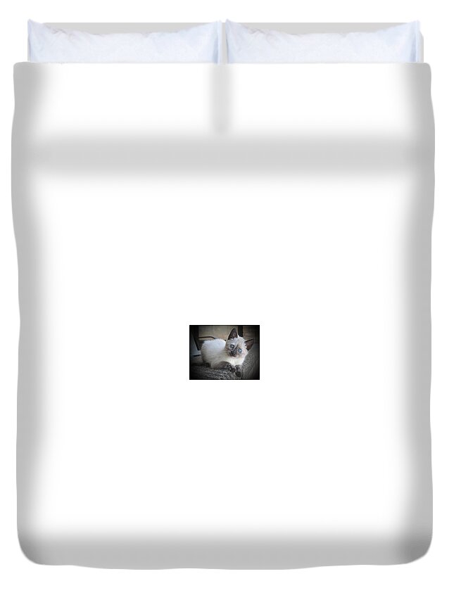 Cat Duvet Cover featuring the photograph Baby Sweet Pea by Bob Johnson