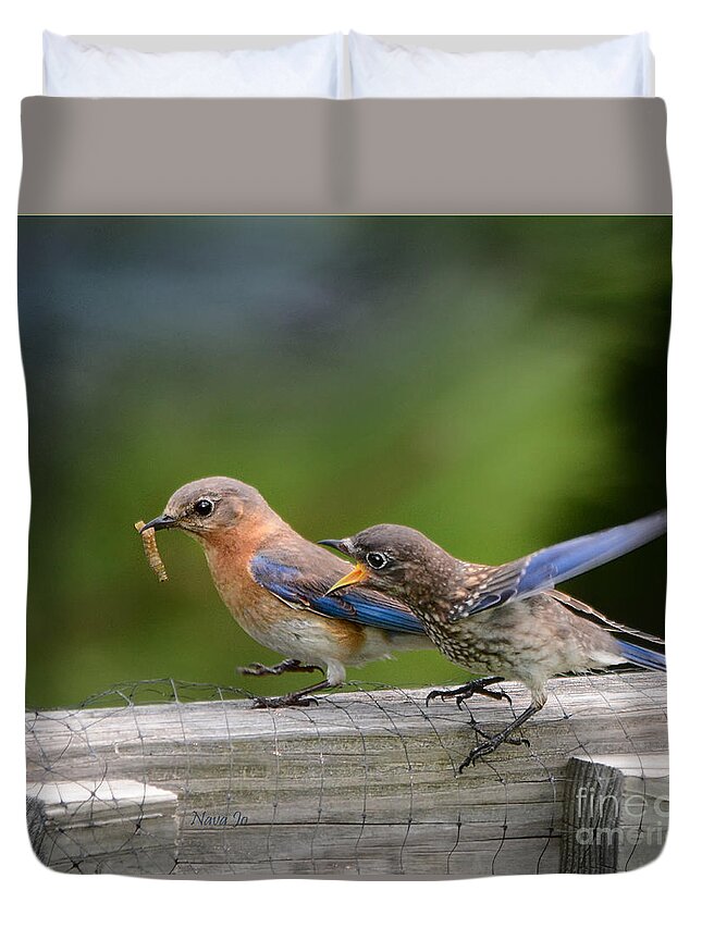Nature Duvet Cover featuring the photograph Bluebird Baby Talk by Nava Thompson