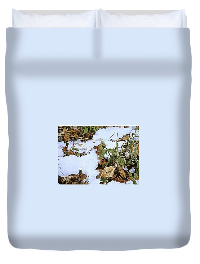 Still Life Duvet Cover featuring the painting Back Forty by Conrad Mieschke