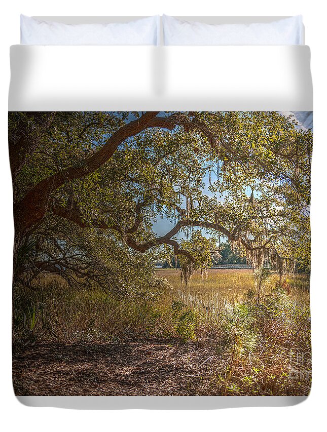 Daniel Island Duvet Cover featuring the photograph Back in Time by Dale Powell