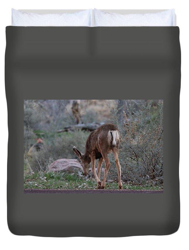 Deer Duvet Cover featuring the photograph Back into the Woods by Christy Pooschke