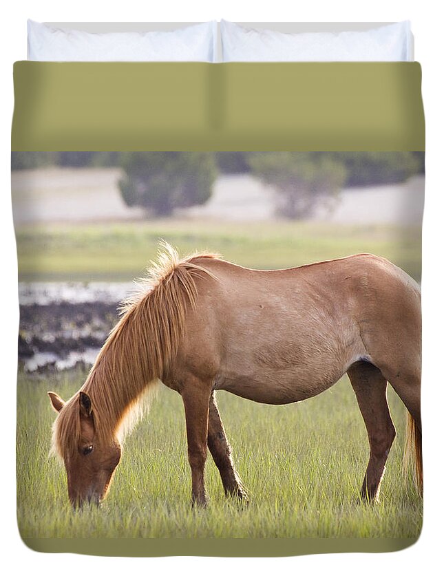 Wild Duvet Cover featuring the photograph Back-lit Wild Horse by Bob Decker
