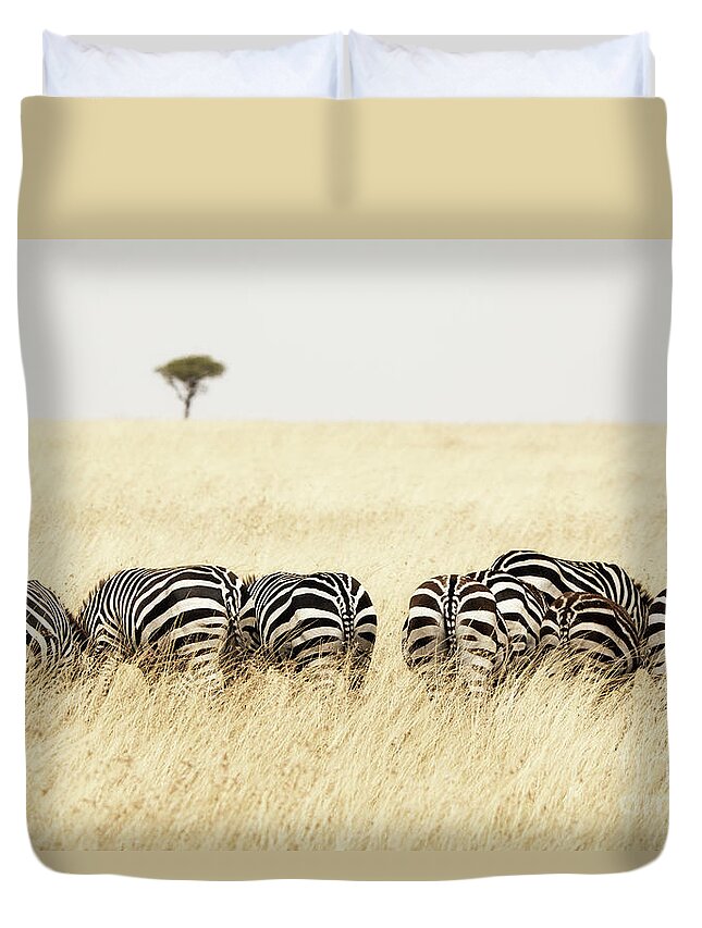 Mara Duvet Cover featuring the photograph Back view of Zebras in a row by Jane Rix