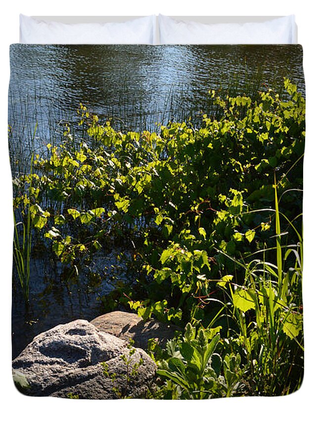 Nature Duvet Cover featuring the photograph Backlight Plants By The Water by Lyle Crump