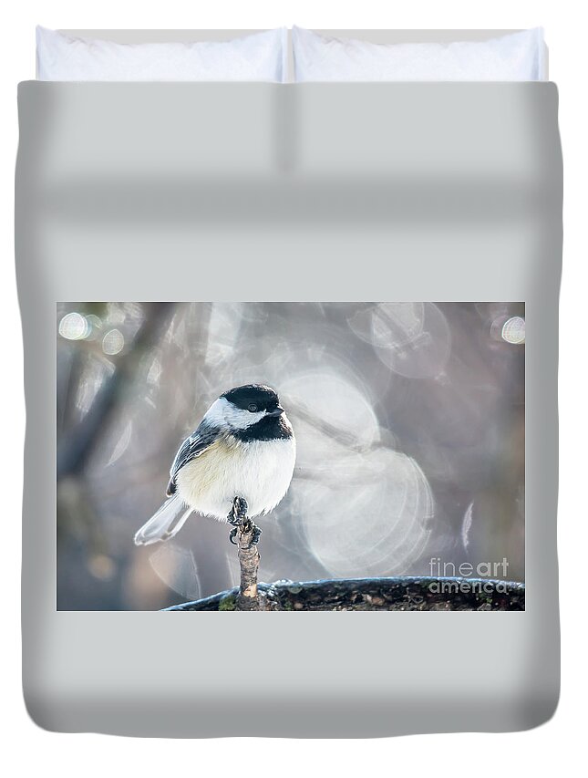 Cheryl Baxter Photography Duvet Cover featuring the photograph Backlit Chickadee by Cheryl Baxter