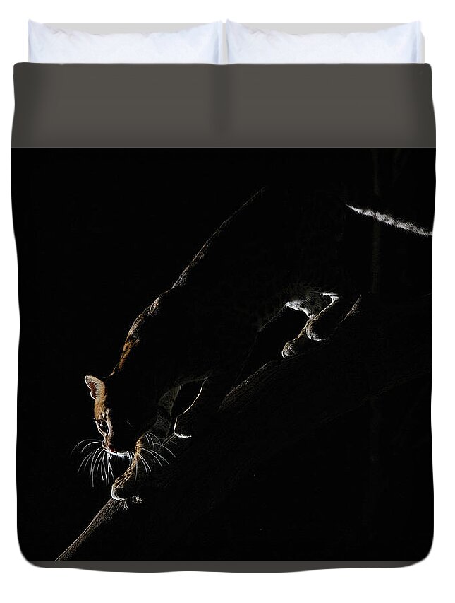 Ocelot Duvet Cover featuring the photograph Backlit Ocelot by Wade Aiken