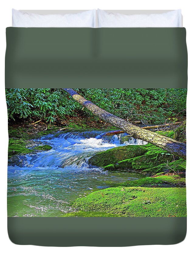 Backwoods Stream Duvet Cover featuring the photograph Backwoods Stream by The James Roney Collection