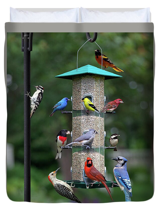 Birds Duvet Cover featuring the photograph Backyard Bird Feeder by Larry Landolfi