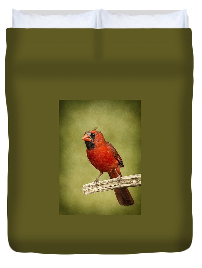 Male Bird Duvet Cover featuring the photograph Bad Hair Day by Bill and Linda Tiepelman