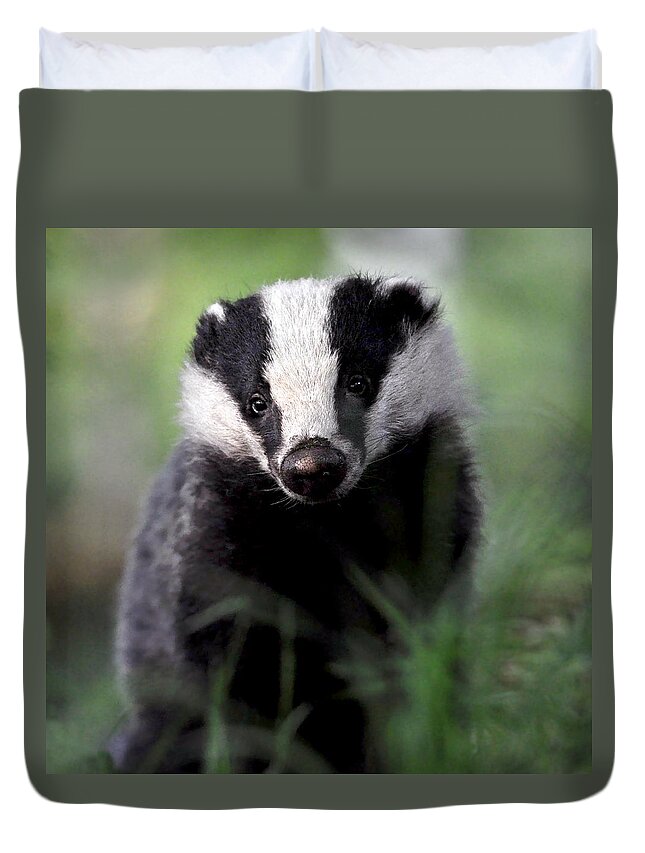 Badger Duvet Cover featuring the photograph Badger by Macrae Images
